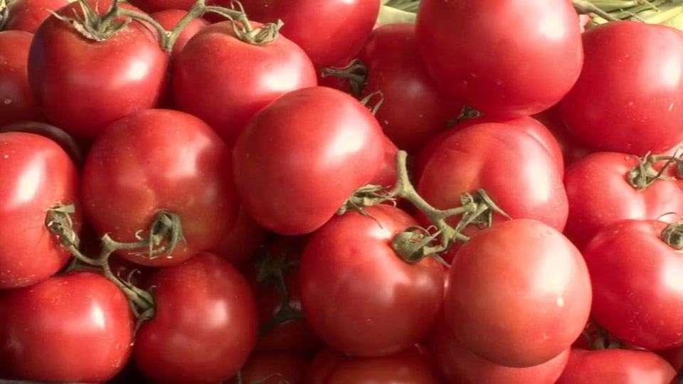 ¿Qué culpa tiene el tomate? [segmento Galicia]
