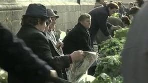 ¿Qué culpa tiene el tomate--[trailer-es]